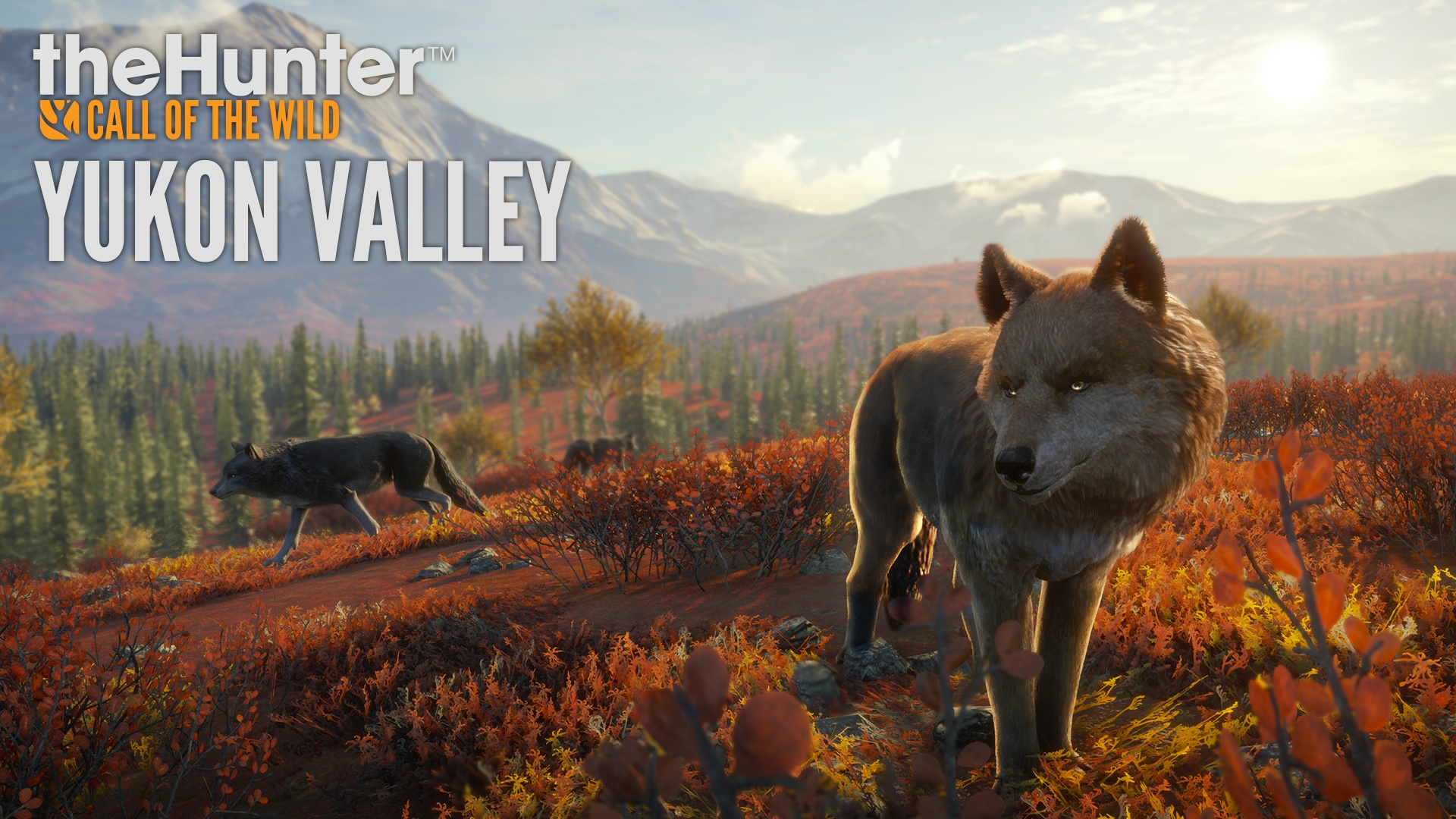 New Reserve Yukon Valley Is Bringing Gray Wolves And More To Thehunter Call Of The Wild Xbox Wire