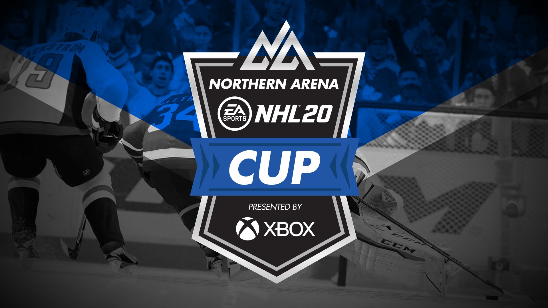 EA NHL 20 CUP