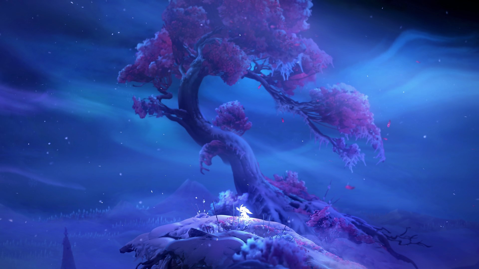 Ori and the Will of the Wisps – Optimized for Xbox Series X|S