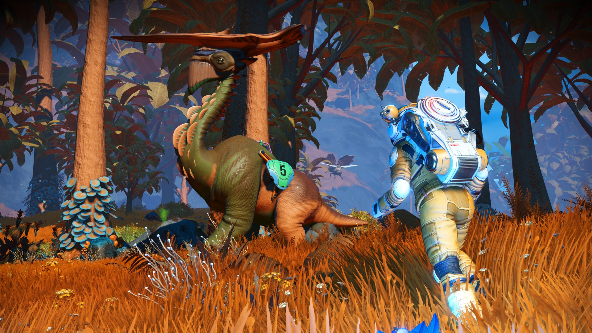 Video For No Man’s Sky: Companions Update Available Now