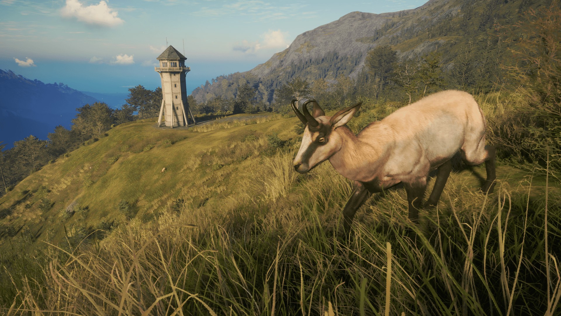 Explore New Zealand In Thehunter Call Of The Wild New Reserve Te Awaroa National Park Xbox Wire