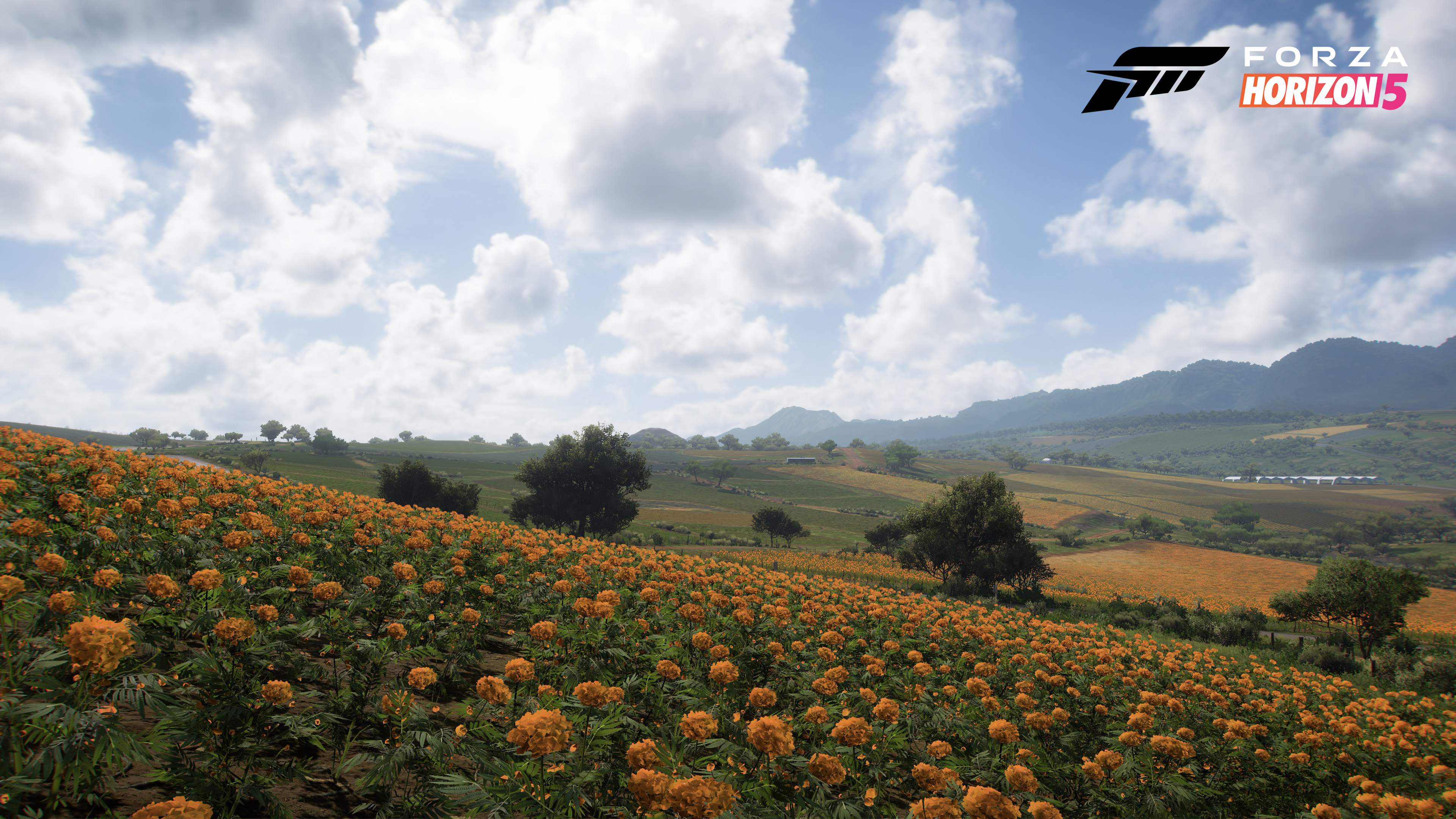 Forza Horizon 5 Biomes and Season