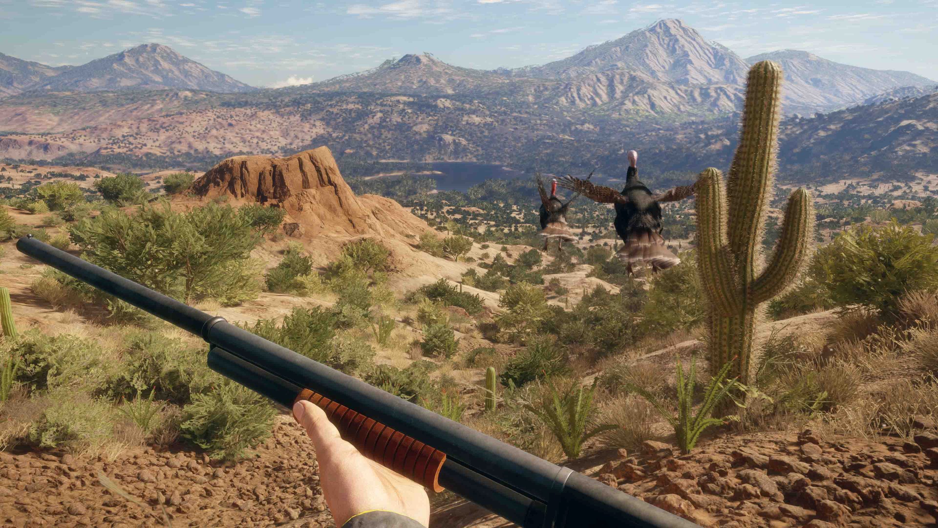 Experience Desert Hunting in Rancho del Arroyo, the New Reserve for  theHunter: Call of the Wild - Xbox Wire