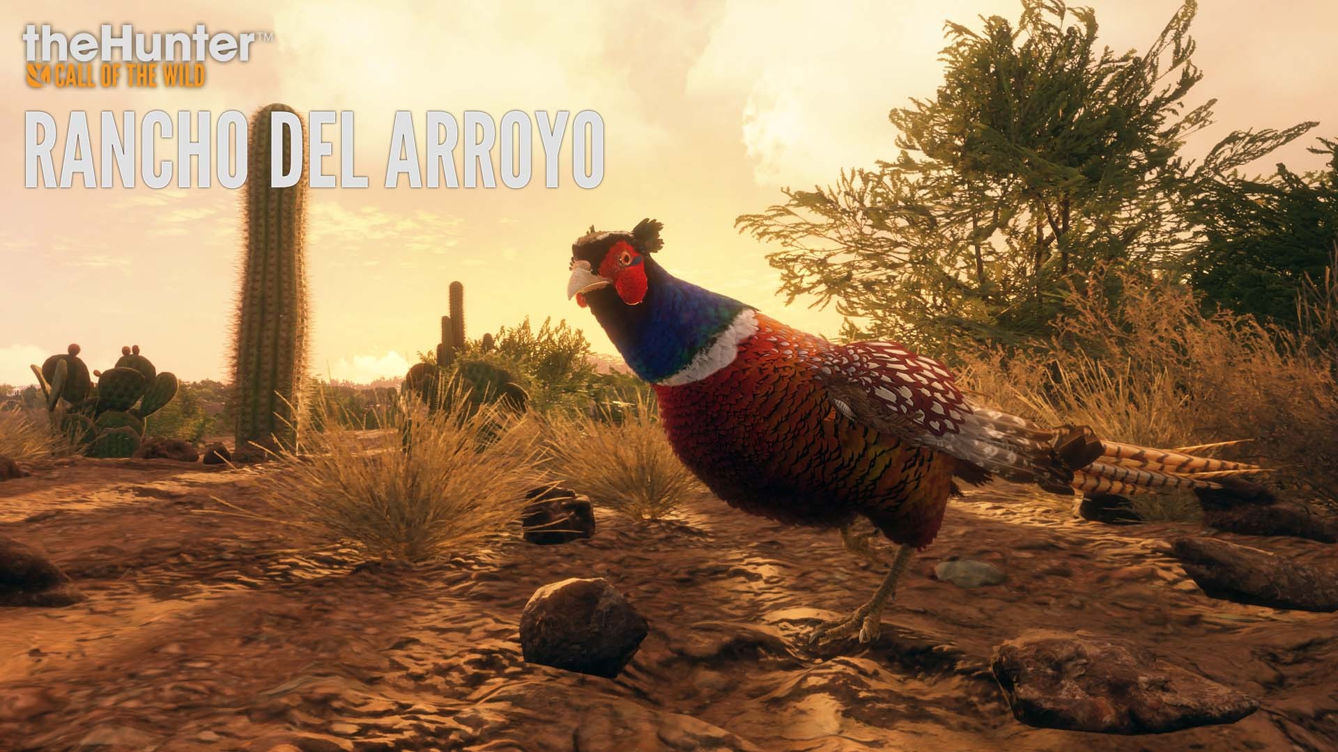 Experience Desert Hunting in Rancho del Arroyo, the New Reserve for theHunter: Call of the Wild – Xbox