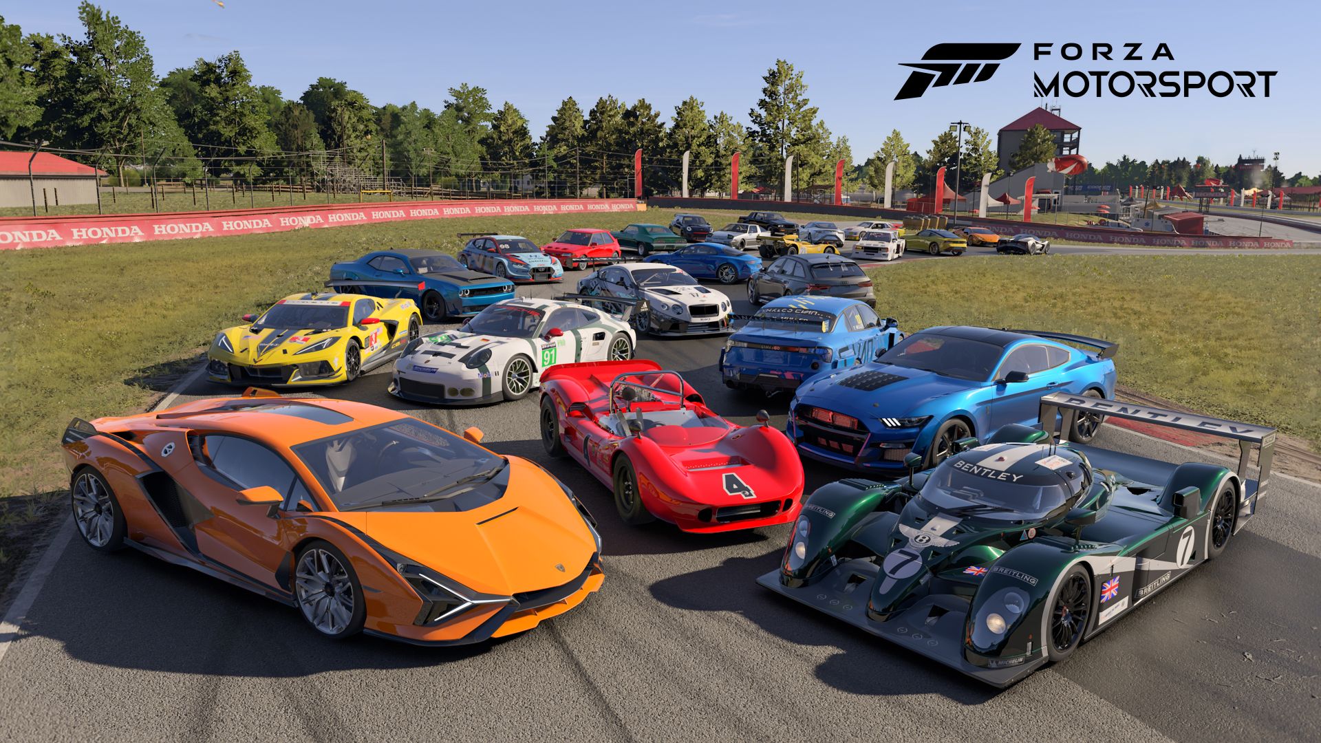 A collection of cars available in Forza Motorsport