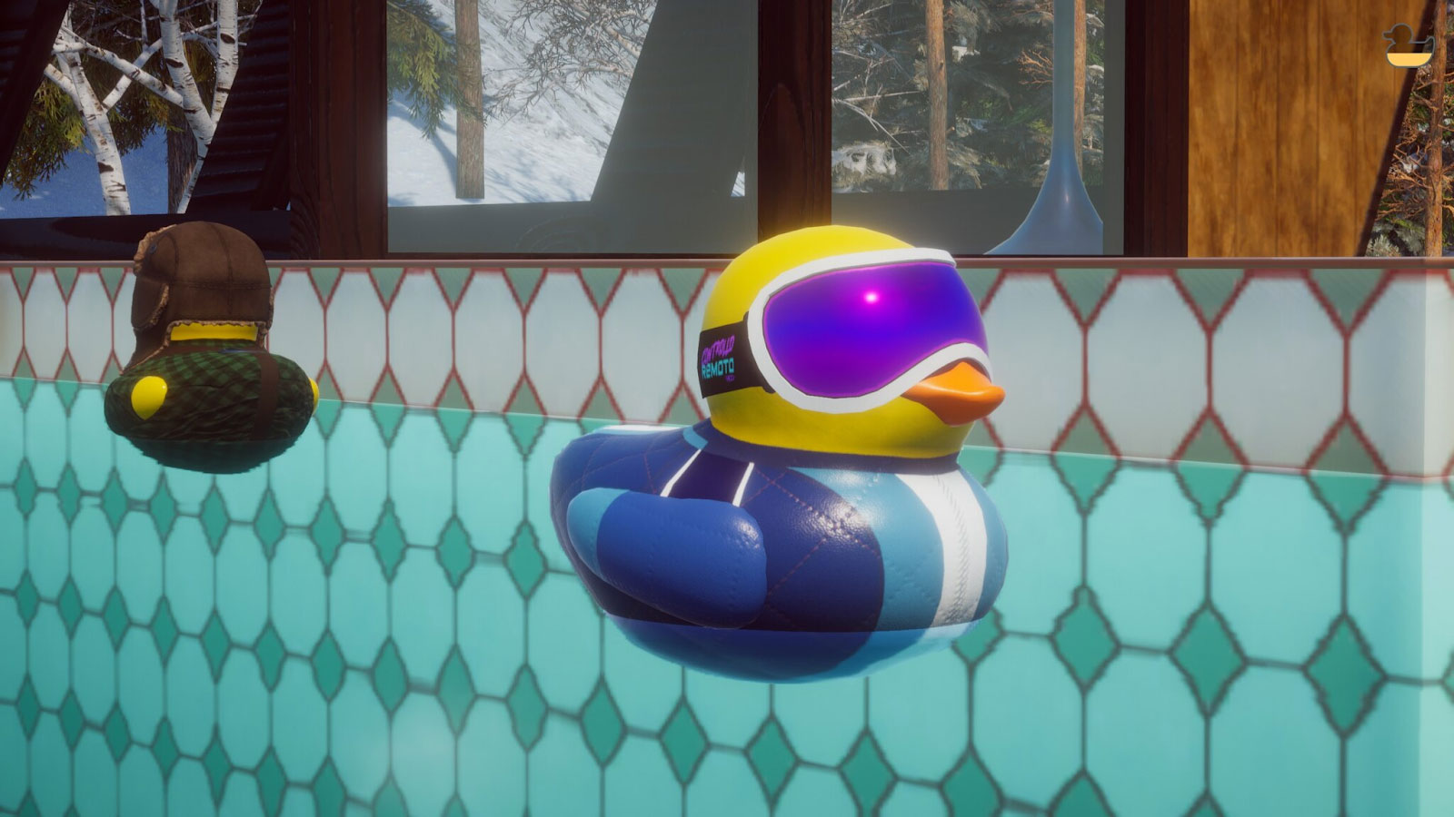PPDS duck with shades
