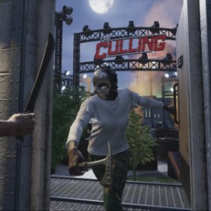 The Culling Small Image