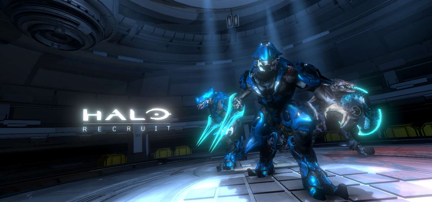 Halo Recruit