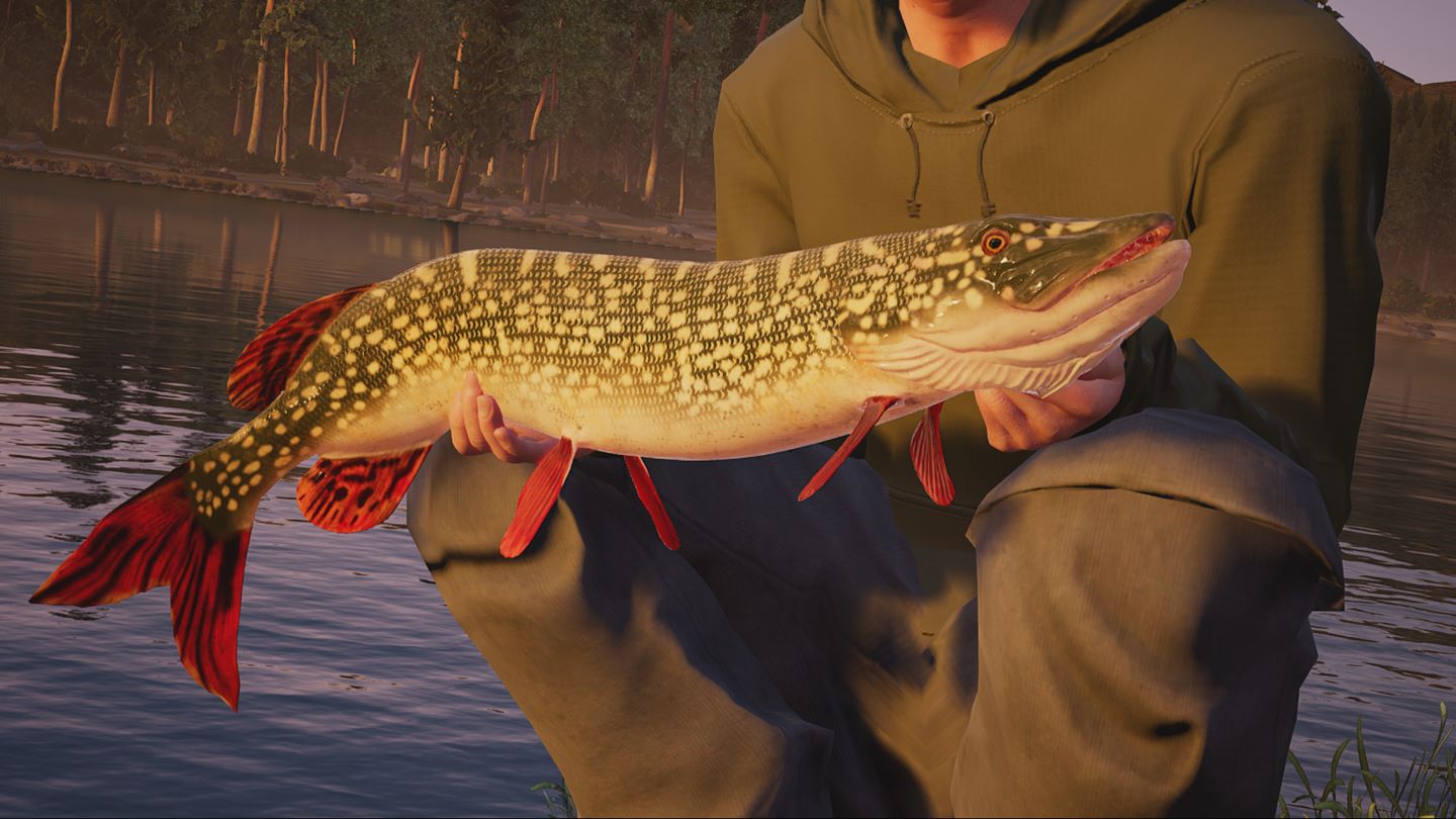 Fishing Sim World Screenshot