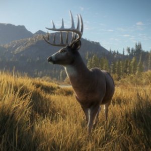 theHunter Call of the Wild Small Image